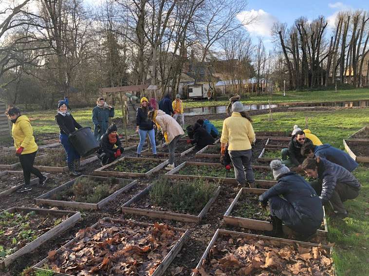 Action de jardinage participatif